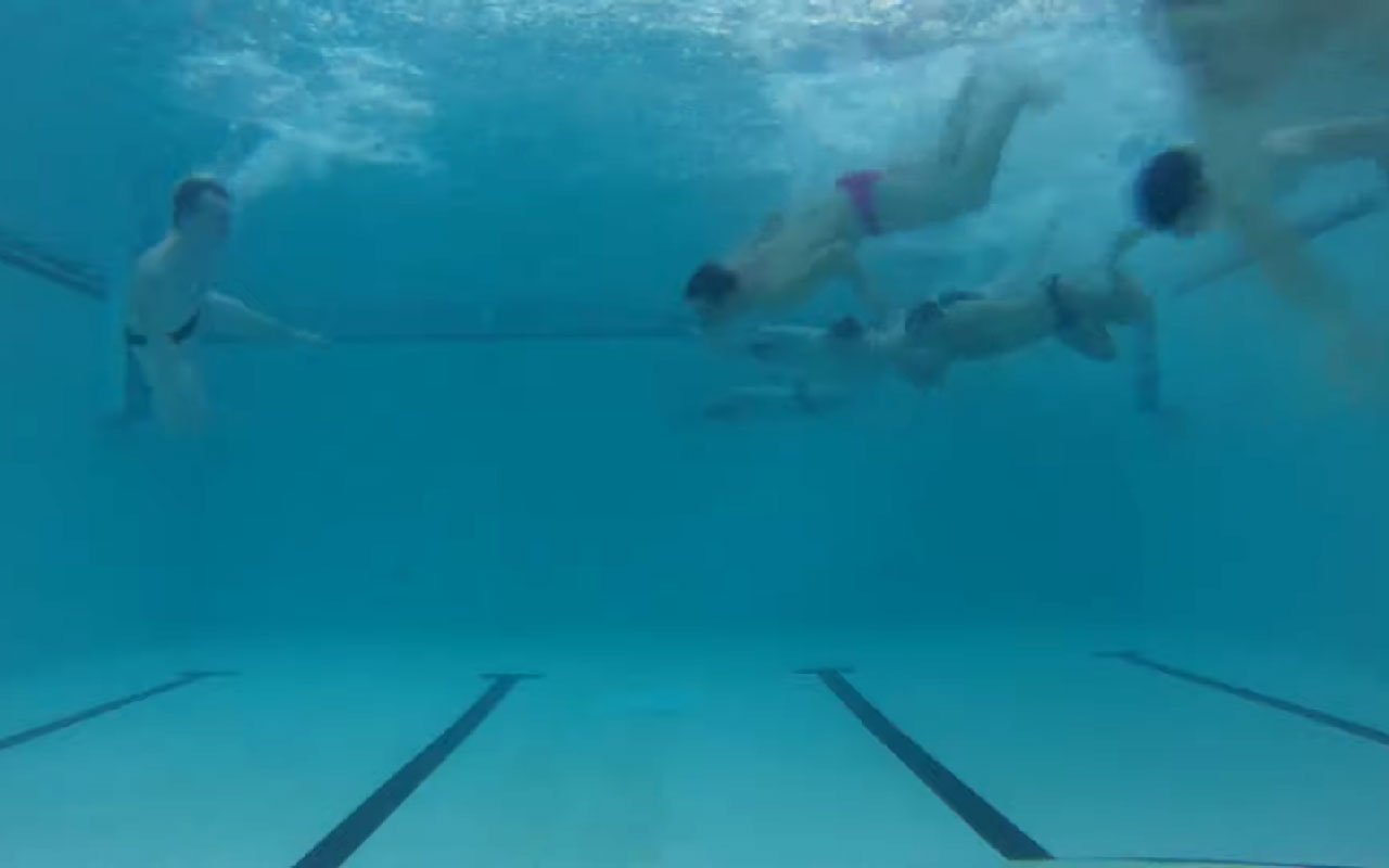2. Sharks Minnows
